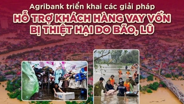 Tuổi Trẻ Evnhcmc Triển Khai Các Công Trình Gắn Với Chuyển Đổi Số, An Sinh Xã Hội Agribank Triển Khai Các Giải Pháp Hỗ Trợ Khách Hàng Vay Vốn Bị Thiệt Hại Do Bão Lũ