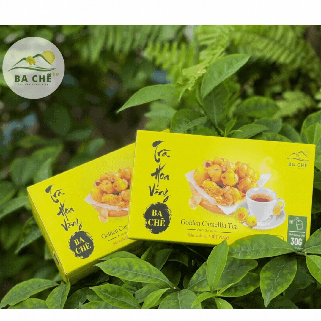 Trà hoa vàng Ba Chẽ túi lọc