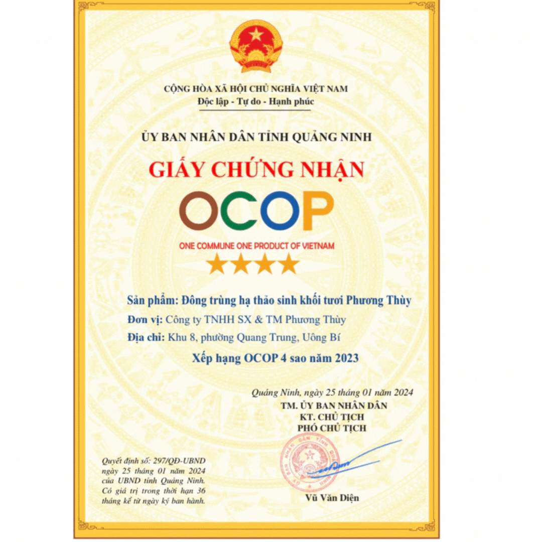 Đông trùng hạ thảo tươi Phương Thùy