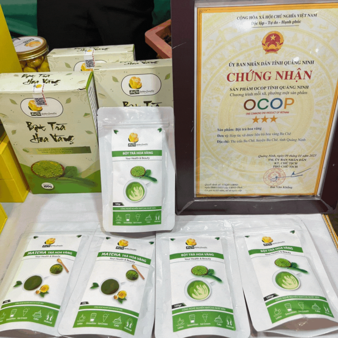 Bột Trà hoa vàng Ba Chẽ