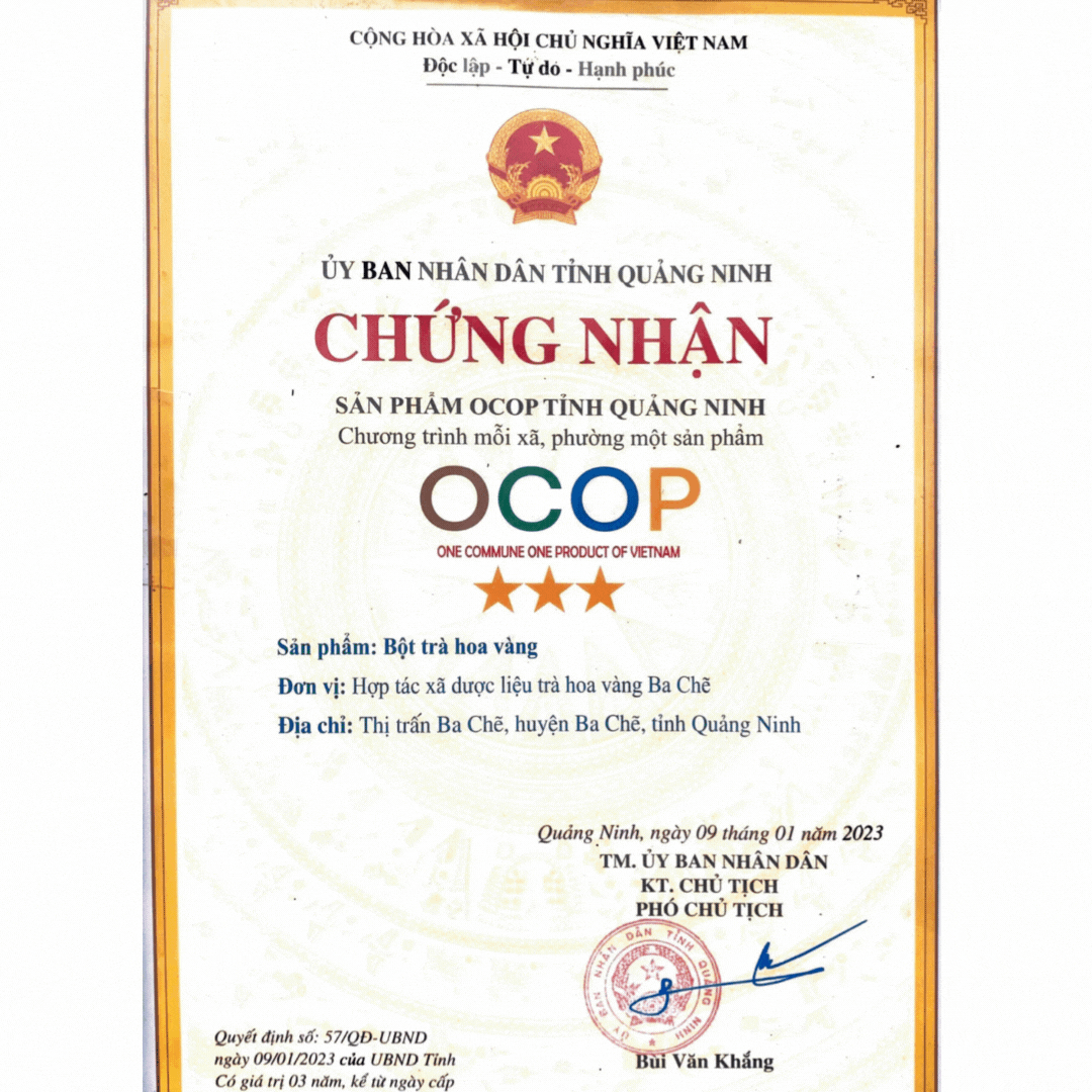 Bột Trà hoa vàng Ba Chẽ