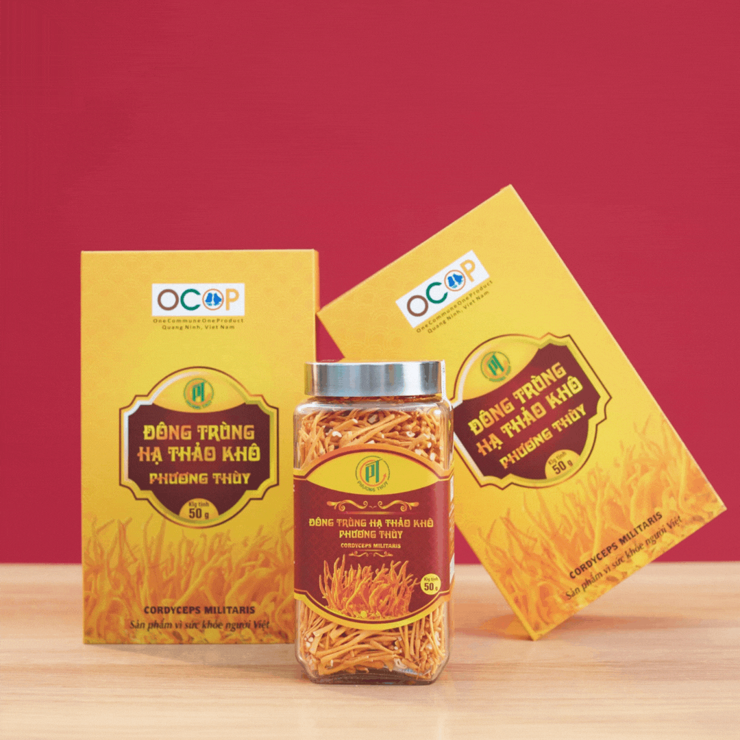 Đông trùng hạ thảo khô Phương Thùy