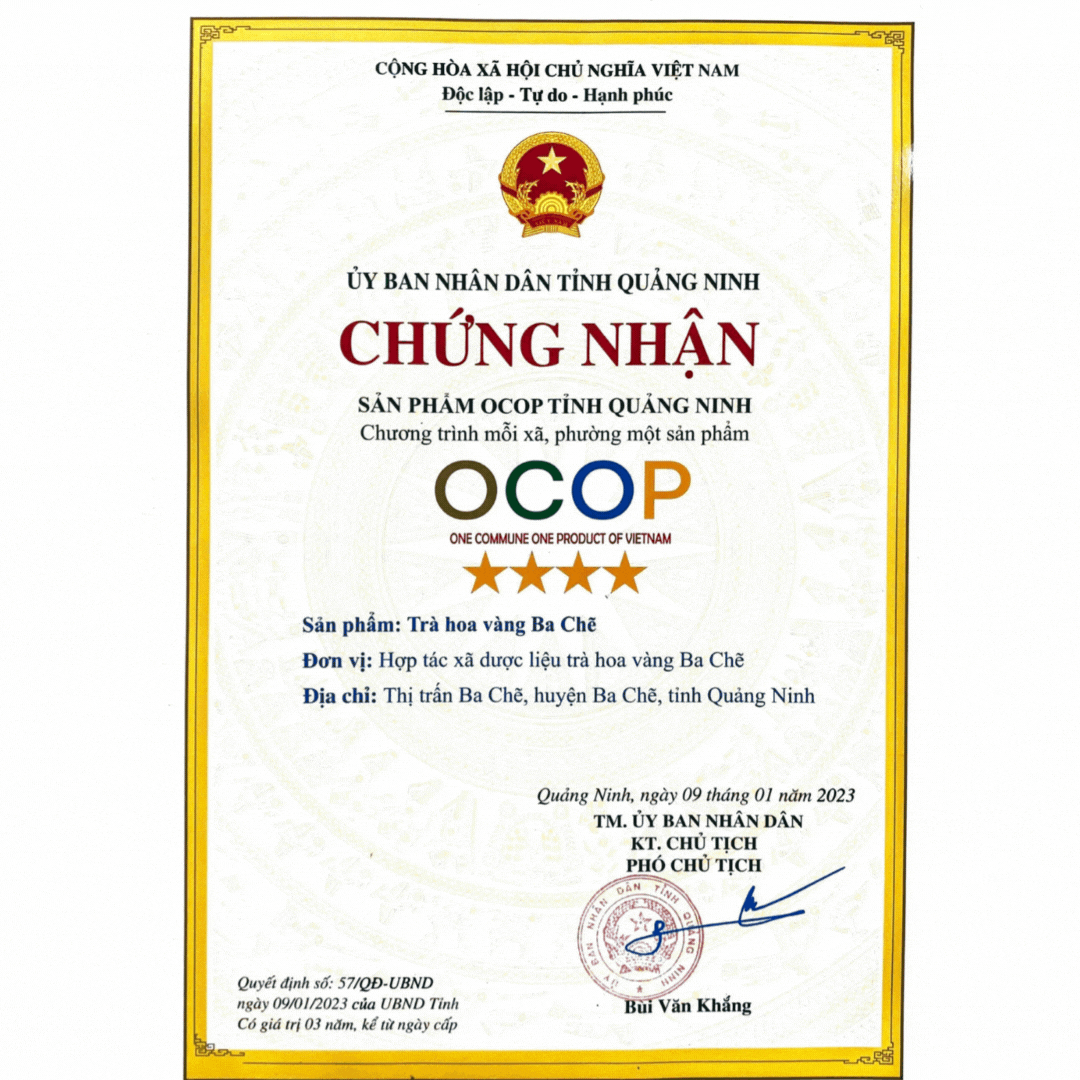 Trà hoa vàng Ba Chẽ