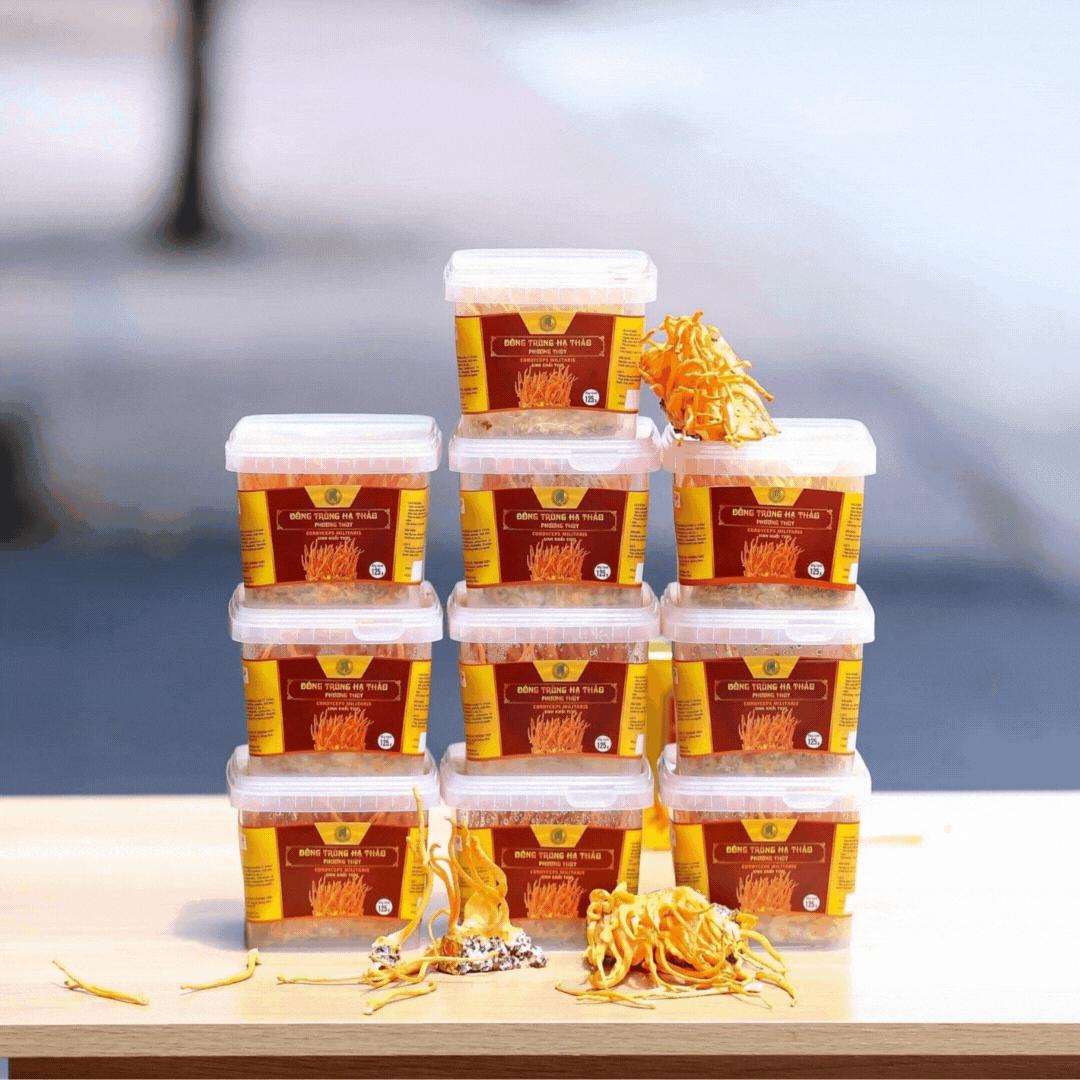 Đông trùng hạ thảo tươi Phương Thùy