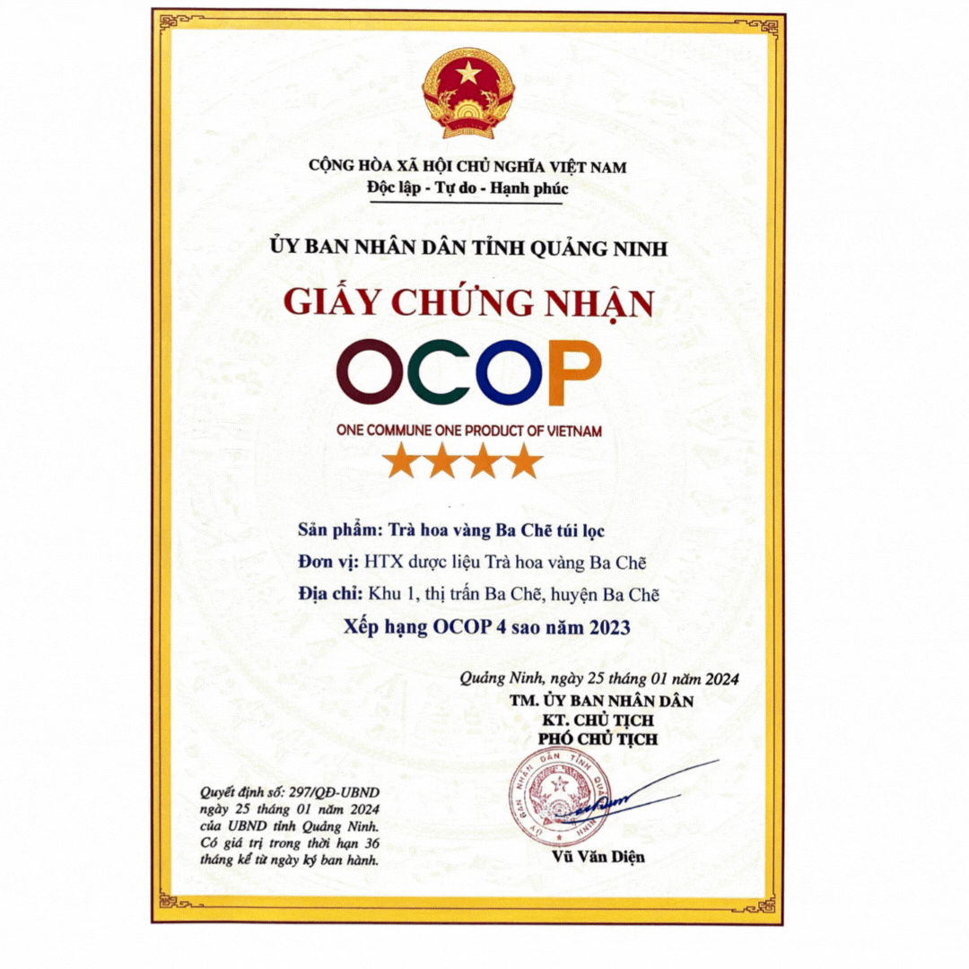 Trà hoa vàng Ba Chẽ túi lọc