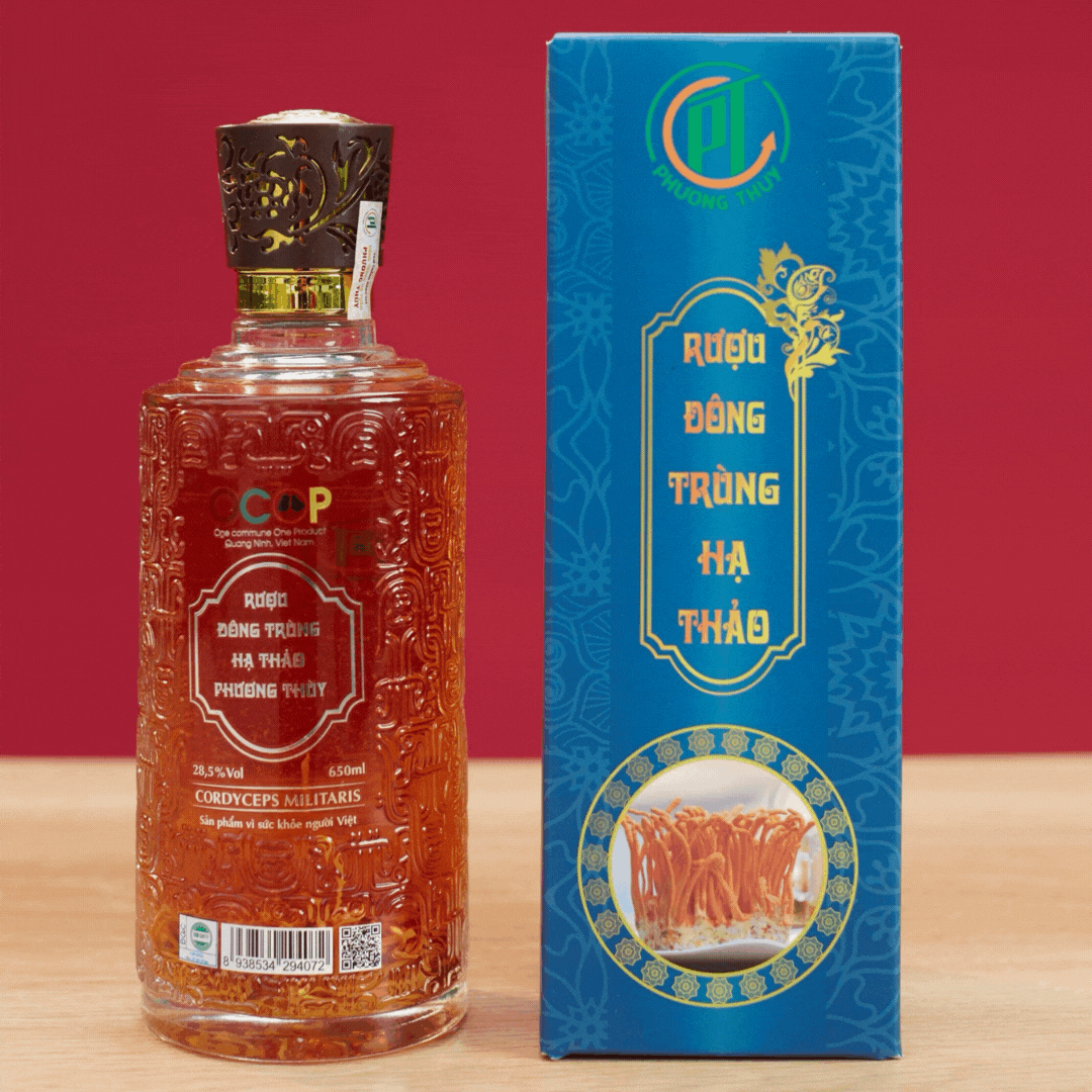 Rượu đông trùng hạ thảo Phương Thùy