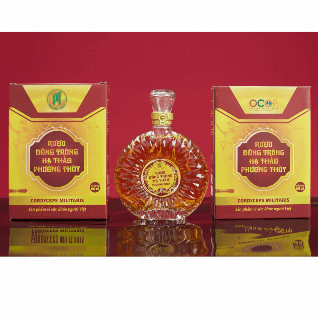 Rượu đông trùng hạ thảo Phương Thùy