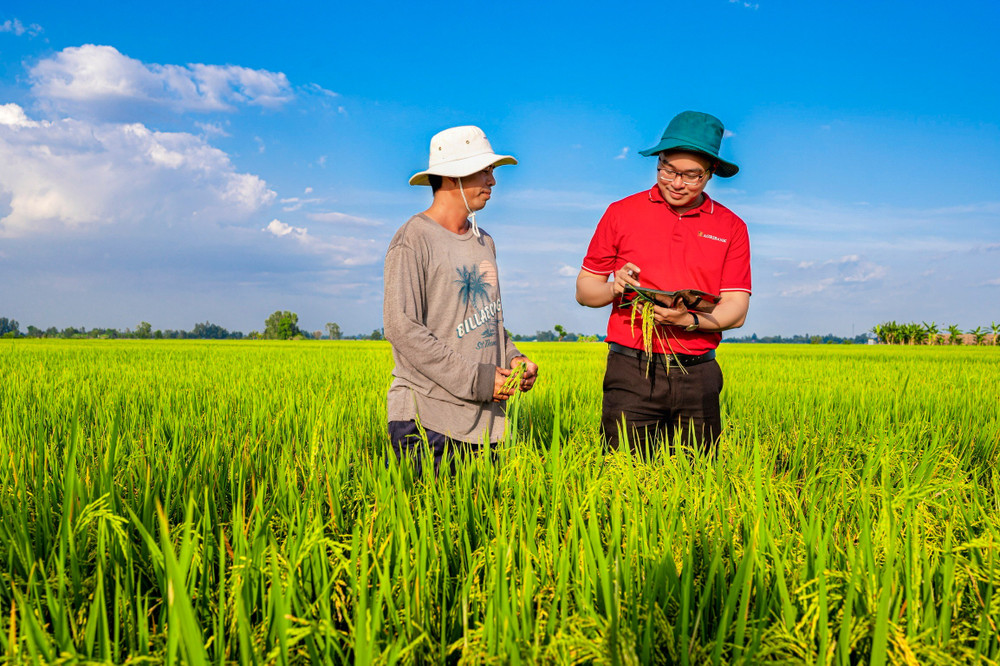 Nguồn vốn Agribank góp phần làm thay đổi diện mạo nông nghiệp Việt Nam. ho-tro-nong-nghiep.jpg