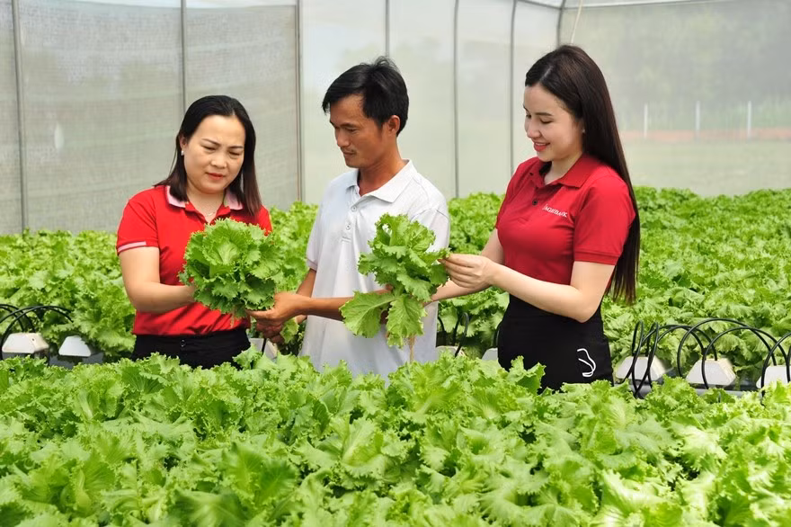 Agribank kiến tạo hệ sinh thái xanh, bền vững.