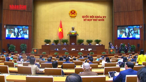 Ngày hội tư vấn việc làm Hải Phòng 2025: Cơ hội cho người lao động và doanh nghiệp 10 Ngày hội tư vấn việc làm Hải Phòng 2025: Cơ hội cho người lao động và doanh nghiệp