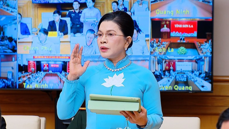 Bà Đặng Thị Kim Oanh phát biểu tại phiên họp.