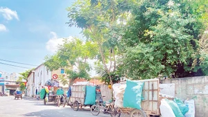 Phương tiện thu gom rác dân lập tập trung trước Trạm trung chuyển tại xã Bà Điểm, huyện Hóc Môn.