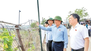 Thường trực Hội đồng nhân dân thành phố Hà Nội thị sát tình hình quản lý, sử dụng đất đai khu vực bãi sông, ngoài đê sông Hồng.