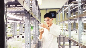 Đại học Duy Tân đẩy mạnh hoạt động nghiên cứu khoa học. (Ảnh MINH CHUNG)