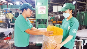 Nhân rộng các sáng kiến, phục vụ sản xuất hiệu quả