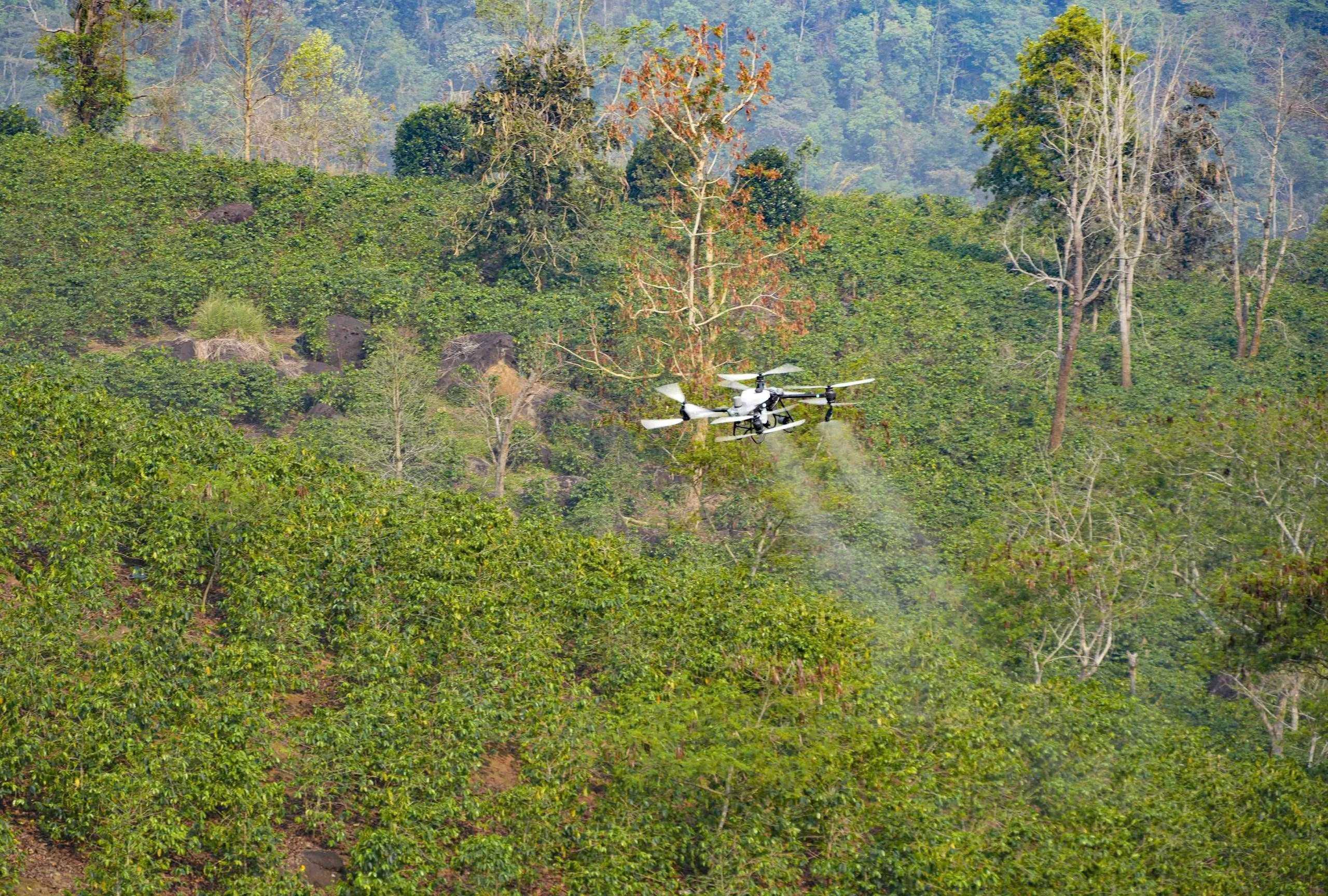Điện Biên Thử Nghiệm Drone Phun Phân Cà Phê, Mở Ra Kỷ Nguyên Nông Nghiệp Thông Minh