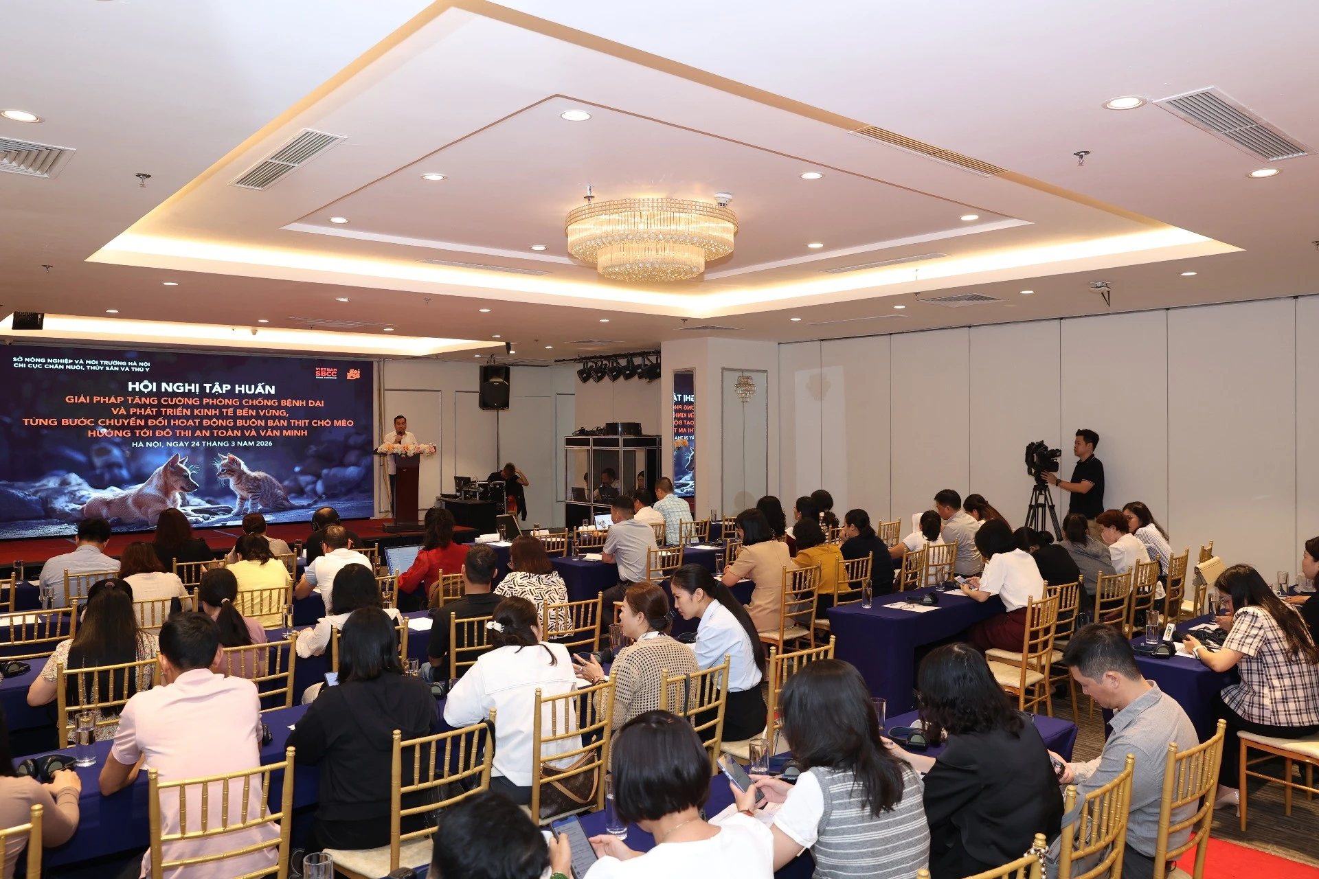 Hà Nội tập huấn phòng chống bệnh dại, kiểm soát buôn bán thịt chó mèo