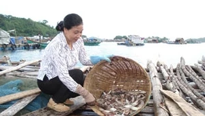 Nuôi cá lồng bè ở đảo Nam Du.
