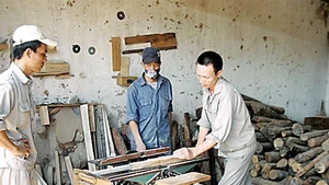 Ảnh trong bài: Học viên chăm chỉ lao động, cai nghiện.
