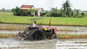 Nông dân huyện Cần Ðước (Long An) làm đất gieo cấy vụ lúa đông xuân. Ảnh: HỒNG PHONG