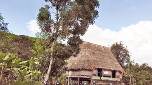 Cuộc sống của bà con bản Bhơ’Hôồng, xã Sông Kôn, huyện Đông Giang đã khác xưa nhiều lắm.