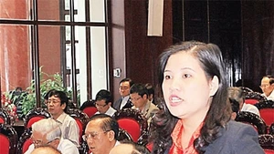 Bà Đinh Thị Phương Lan (Đại biểu QH tỉnh Quảng Ngãi):