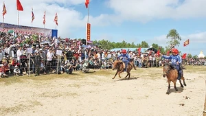Nhiều pha tranh tài đẹp mắt diễn ra trong tiếng reo hò của hàng nghìn khán giả.