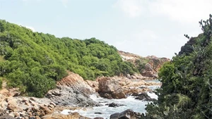 Phú Yên có nhiều đầm, vịnh, bãi tắm đẹp vẻ hoang sơ luôn thu hút khách du lịch.