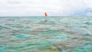 Ảnh Vũ Anh Tuấn