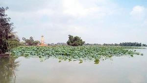 Thanh khiết Loa Hồ