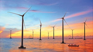 Bình minh trên công trình điện gió Bạc Liêu. Ảnh: Thanh Toàn