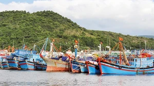 Đội thuyền xuất quân ra ngư trường Trường Sa.