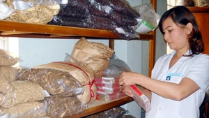 Những bài thuốc từ dân gian của bác sĩ Đoàn Thị Tuần đã giúp nhiều người bệnh sớm bình phục.