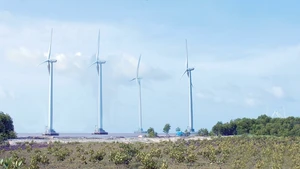 10 tua-bin của dự án điện gió Bạc Liêu đã phát lên lưới điện quốc gia hơn 20 triệu kW giờ, đạt doanh thu 35 tỷ đồng. Ảnh: Hương Nguyên