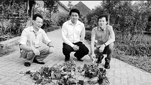 Ông Thiều (bên trái) bên ''chiến lợi phẩm'', tiêu diệt loài chuột lạ phá hại cây sâm Ngọc Linh.