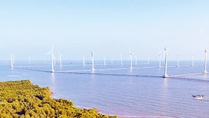  Từ điện gió đến... điện mặt trời