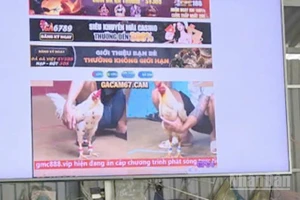 Tang vật dùng để phát trực tuyến các trận đá gà.