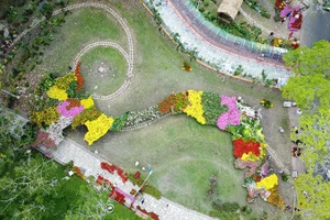 Tổ chức Kỷ lục Việt Nam-VietKings công nhận và xác lập Kỷ lục Việt Nam đối với “Bản đồ Việt Nam tạo hình từ các giống hoa-kiểng có số lượng nhiều nhất tại Việt Nam" (tại Festival Hoa-Kiểng Sa Đéc lần thứ 2 năm 2025).