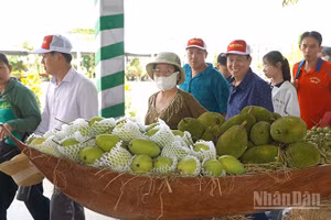 Du khách tham quan gian trưng bày tại Lễ hội Trái cây Đồng Tháp lần thứ 1.