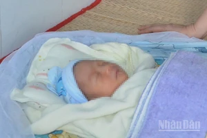 Cháu bé sơ sinh ị bỏ rơi. (Ảnh: Công an cung cấp)