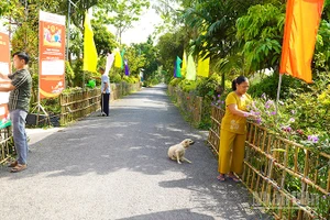 Vợ chồng ông Nguyễn Văn Xếp thường xuyên chăm sóc hoa kiểng và cho mượn nhà chuẩn bị cho Ngày hội toàn dân.