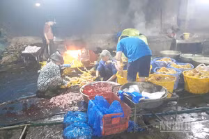 Cơ sở giết mổ động vật tại địa điểm không được đơn vị có thẩm quyền cho phép bị Công an phát hiện, bắt quả tang.