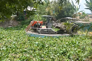 Một chiếc phà di chuyển khó khăn trên kênh Công Sự, xã Phương Thịnh do lục bình xuất hiện dày đặc. (Ảnh: HỮU NGHĨA)