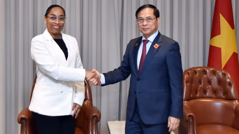 Phó Thủ tướng Chính phủ, Bộ trưởng Ngoại giao Bùi Thanh Sơn làm việc với lãnh đạo doanh nghiệp Angola. (Ảnh: Báo Thế giới & Việt Nam)