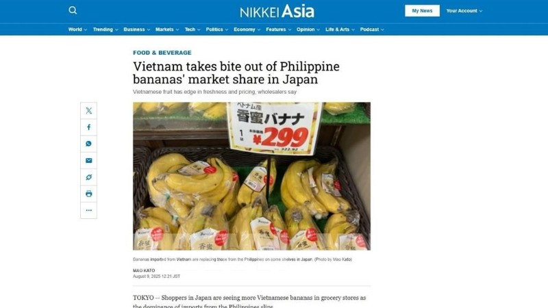 Báo Nikkei Asia nhận định chuối Việt Nam đang có lợi thế tại thị trường Nhật Bản. (Ảnh chụp màn hình: TTXVN)