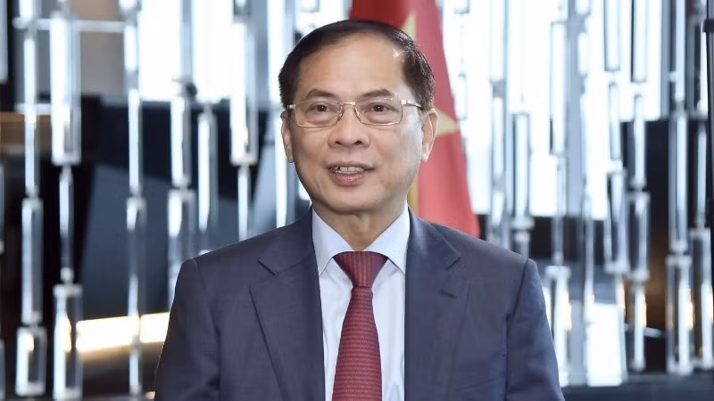 Phó Thủ tướng Chính phủ, Bộ trưởng Ngoại giao Bùi Thanh Sơn. (Ảnh: Bộ Ngoại giao)