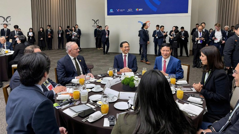 Phó Thủ tướng Chính phủ Bùi Thanh Sơn tham dự Đối thoại giữa các nhà lãnh đạo APEC với Hội đồng Tư vấn kinh doanh APEC. (Ảnh: Bộ Ngoại giao)