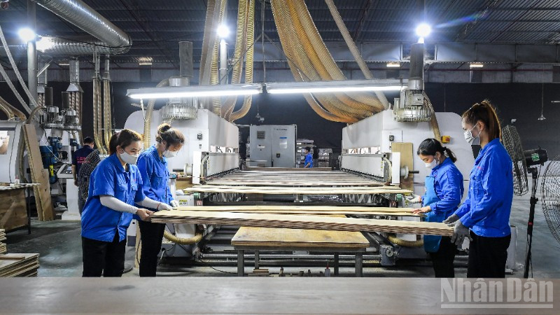 Doanh nghiệp Việt rất cần được tiếp sức bằng một hệ sinh thái hỗ trợ toàn diện để đủ sức vươn ra biển lớn. (Ảnh minh họa: THÀNH ĐẠT)