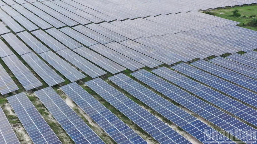 Các tấm pin mặt trời tại trang trại điện mặt trời Phong Phú (Solarcom), Lâm Đồng. (Ảnh: VĂN DUY)