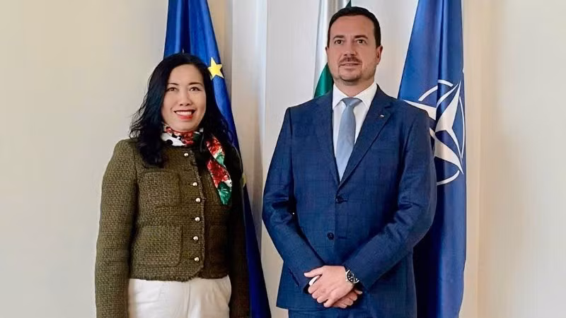 Thứ trưởng Ngoại giao Lê Thị Thu Hằng làm việc với Thứ trưởng Ngoại giao Bulgaria Nikolay Pavlov. (Ảnh: Bộ Ngoại giao)